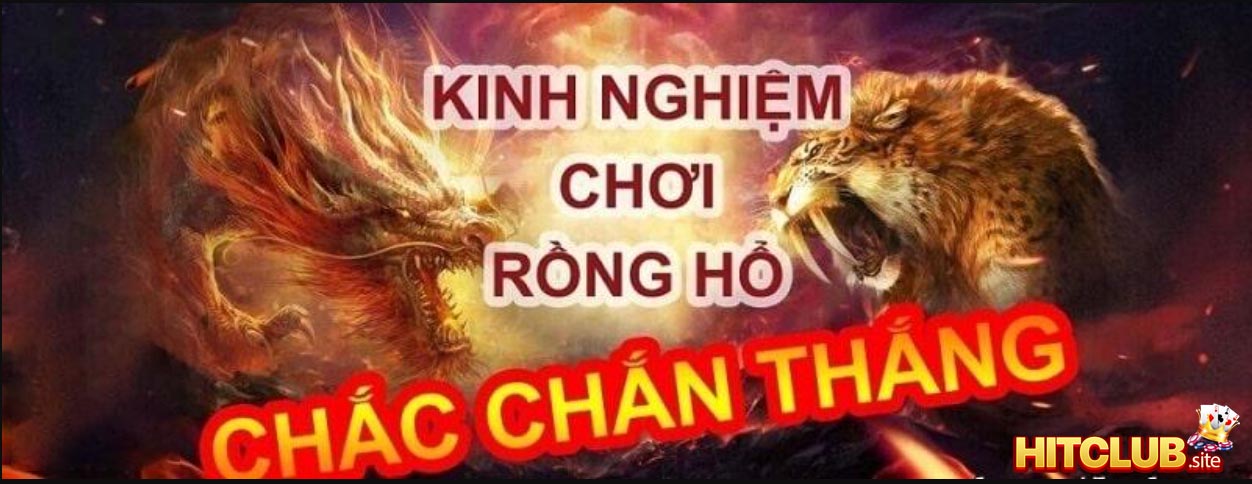 Kinh nghiệm đánh bài rồng hổ online